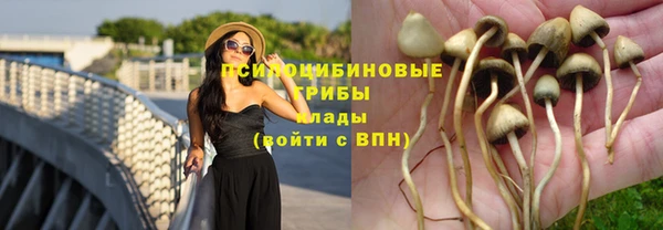 мдпв Зеленокумск